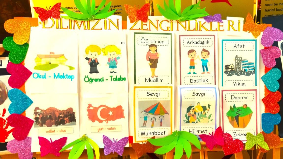 DİLİMİZİN ZENGİNLİKLERİ  PANOMUZ 